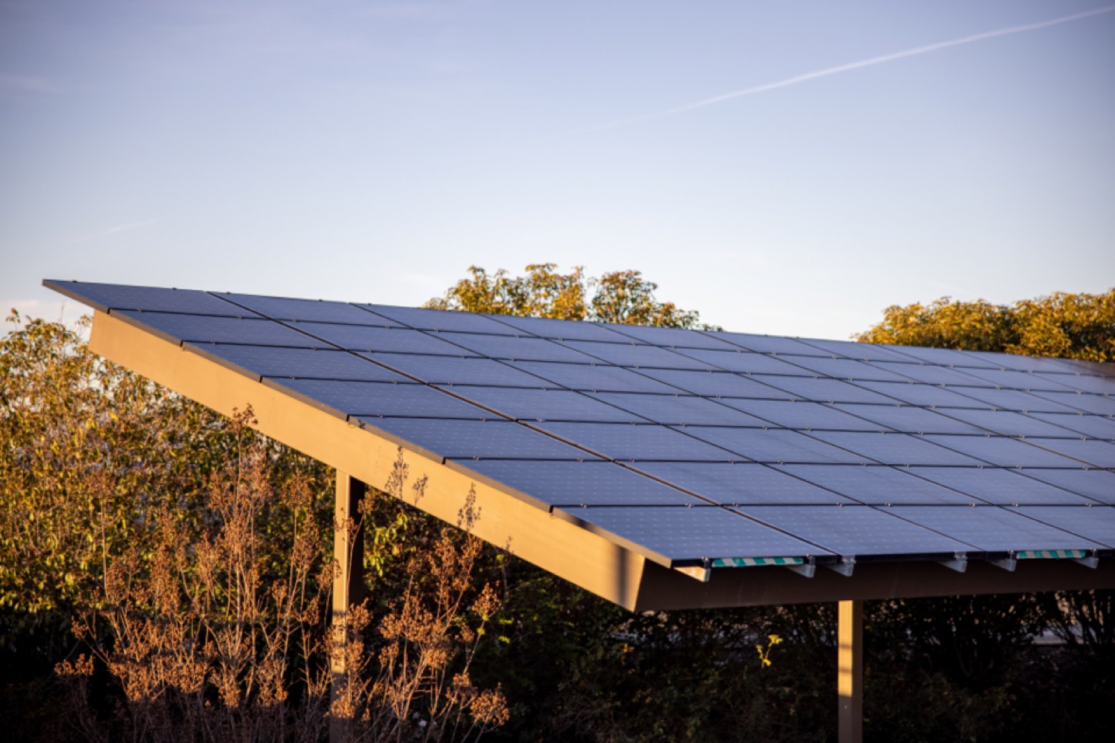 A field of solar panels